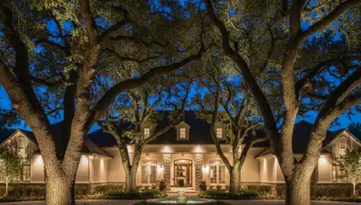 Dramatic tree uplighting design by Baton Rouge landscapers highlighting mature trees with professional lighting